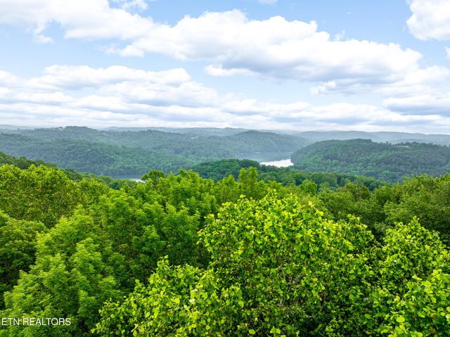 Running Deer Tr, Caryville, TN 37714