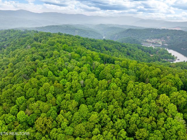 Running Deer Tr, Caryville, TN 37714