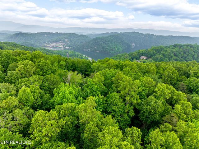 Running Deer Tr, Caryville, TN 37714