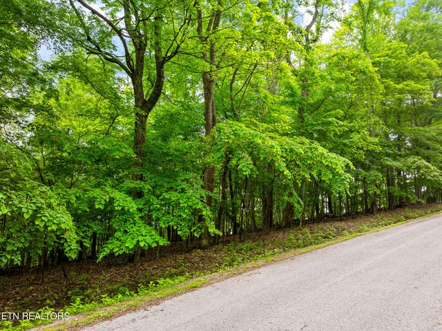 Running Deer Tr, Caryville, TN 37714