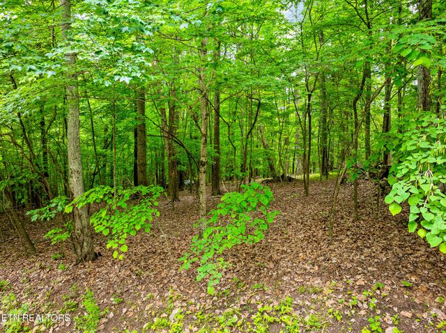 Running Deer Tr, Caryville, TN 37714