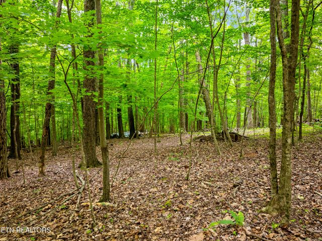 Running Deer Tr, Caryville, TN 37714