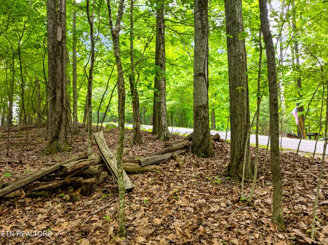 Running Deer Tr, Caryville, TN 37714