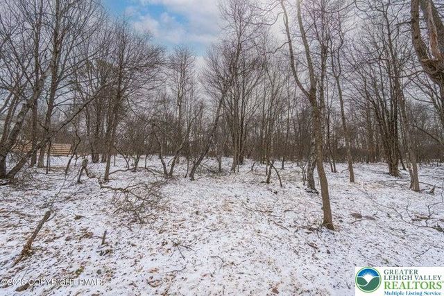 30 Shortridge Road, Penn Forest Twp, PA 18210