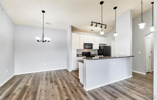 29 Kassebaum Lane 307, St Louis, MO 63129