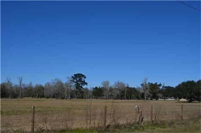 319 Wallace Road, Hankamer, TX 77560