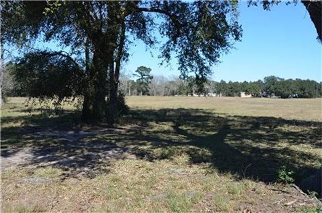 319 Wallace Road, Hankamer, TX 77560