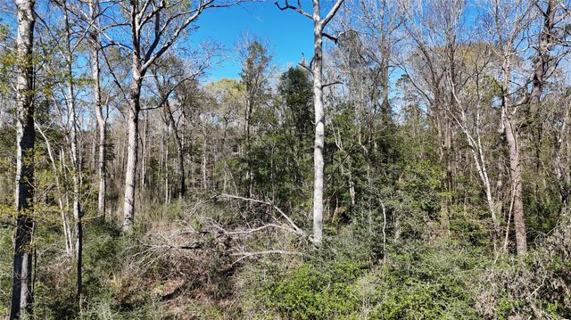 TBD 8 & 9 Aggie Avenue, Livingston, TX 77351