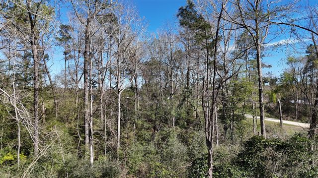 TBD 8 & 9 Aggie Avenue, Livingston, TX 77351