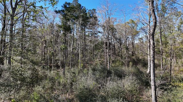 TBD 8 & 9 Aggie Avenue, Livingston, TX 77351