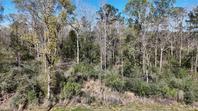 TBD 8 & 9 Aggie Avenue, Livingston, TX 77351