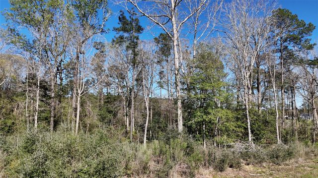 TBD 8 & 9 Aggie Avenue, Livingston, TX 77351