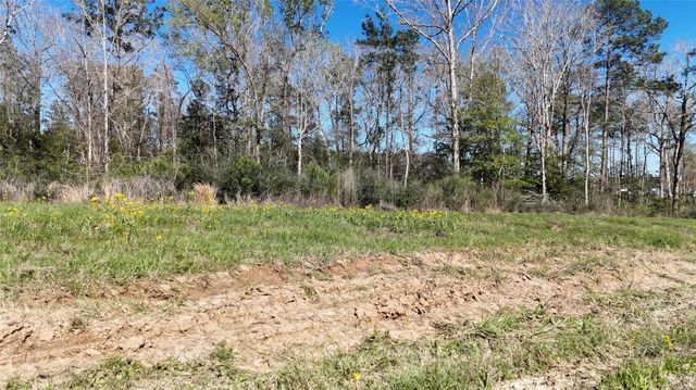 TBD 8 & 9 Aggie Avenue, Livingston, TX 77351