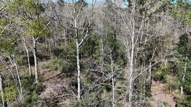 TBD 8 & 9 Aggie Avenue, Livingston, TX 77351