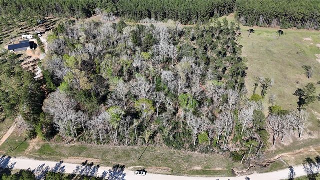 TBD 8 & 9 Aggie Avenue, Livingston, TX 77351