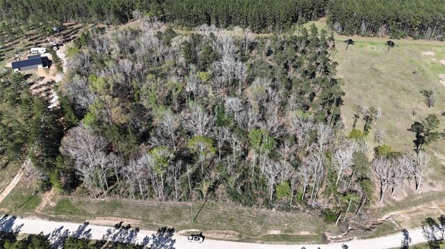 TBD 8 & 9 Aggie Avenue, Livingston, TX 77351