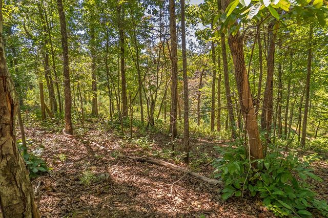 Lot 19 Harris Branch Road E, Ellijay, GA 30540