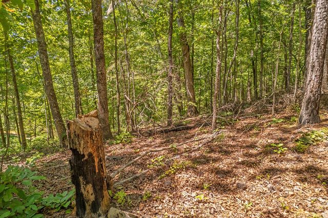 Lot 19 Harris Branch Road E, Ellijay, GA 30540