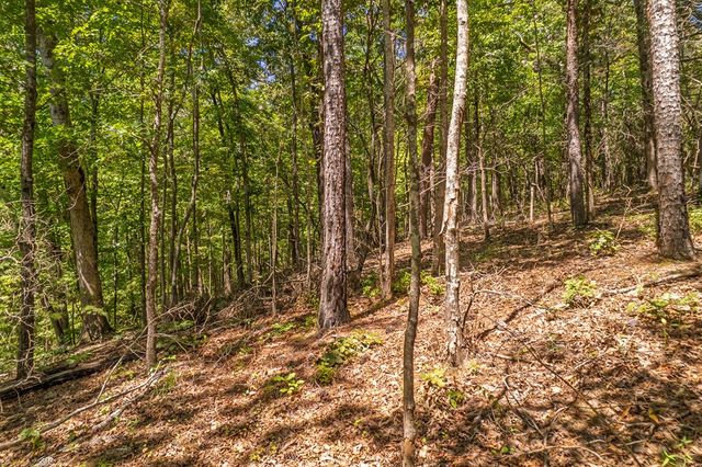 Lot 19 Harris Branch Road E, Ellijay, GA 30540