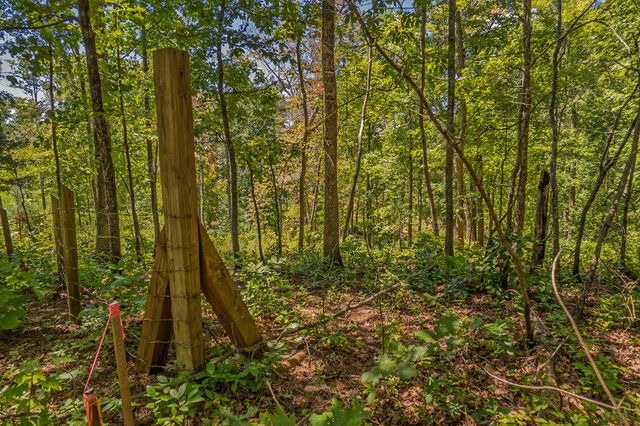 Lot 19 Harris Branch Road E, Ellijay, GA 30540