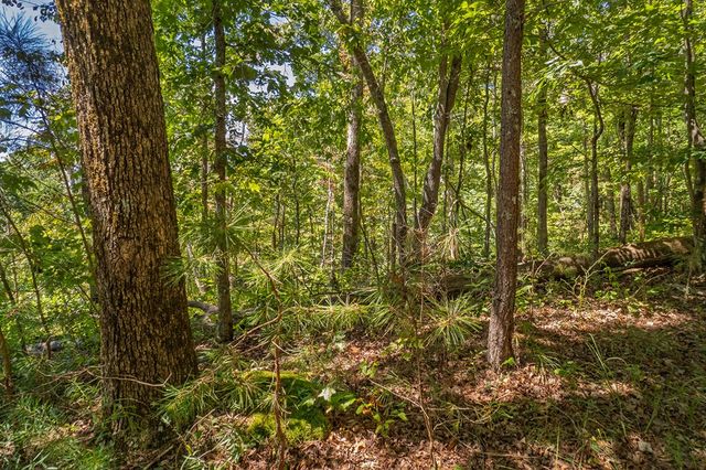 Lot 19 Harris Branch Road E, Ellijay, GA 30540