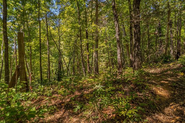 Lot 19 Harris Branch Road E, Ellijay, GA 30540