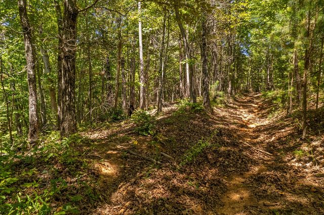 Lot 19 Harris Branch Road E, Ellijay, GA 30540