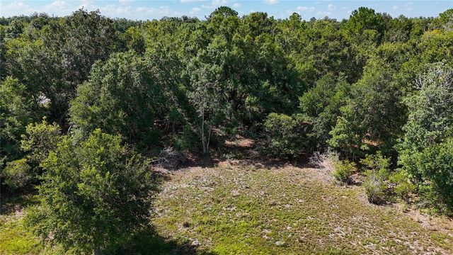 RED HAWK LANE, Plant City, FL 33565
