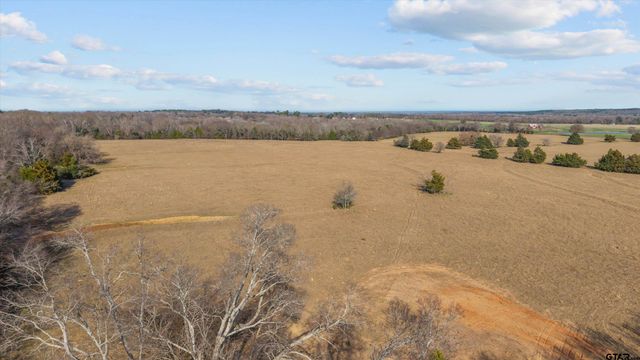 TBD CR 477 Lot 1, Lindale, TX 75771