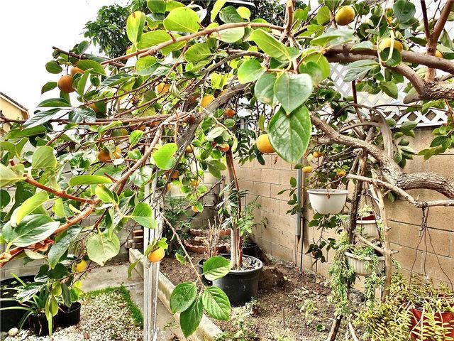 15121 Rancho Clemente, Paramount, CA 90723