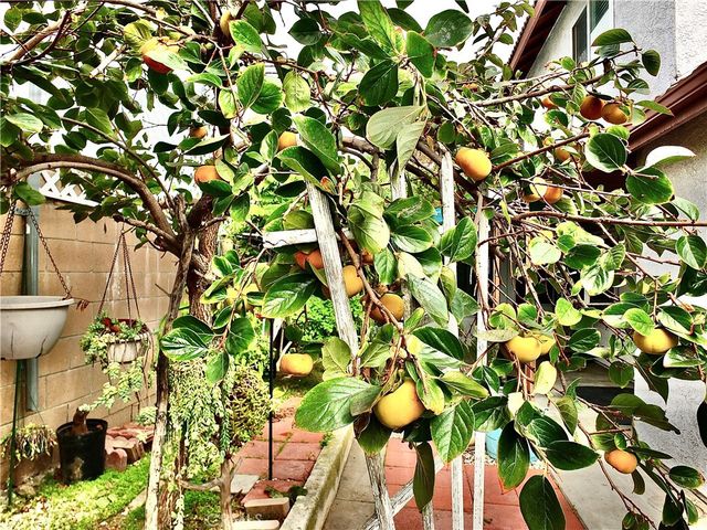 15121 Rancho Clemente, Paramount, CA 90723