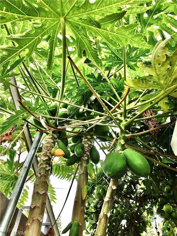 15121 Rancho Clemente, Paramount, CA 90723