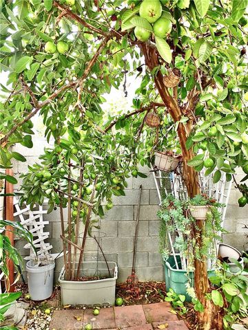 15121 Rancho Clemente, Paramount, CA 90723