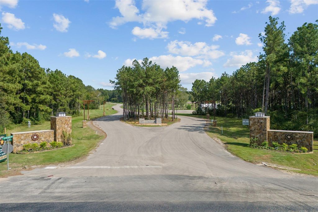 11610 Dawn Tree Lane, Willis, TX 77378