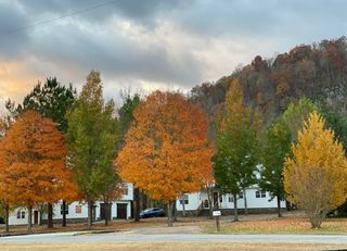 1040/1056 S Riverview, Mountain View, AR 72560