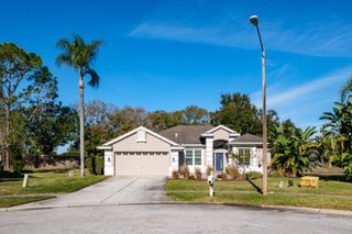 438 EQUINE DRIVE, Tarpon Springs, FL 34688