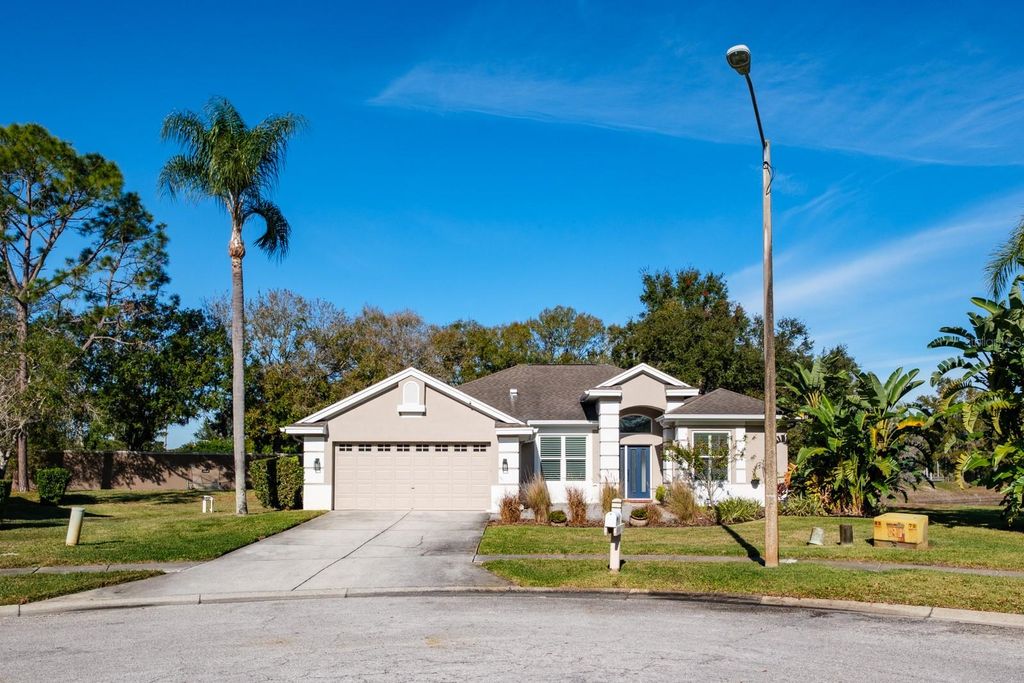 438 EQUINE DRIVE, Tarpon Springs, FL 34688