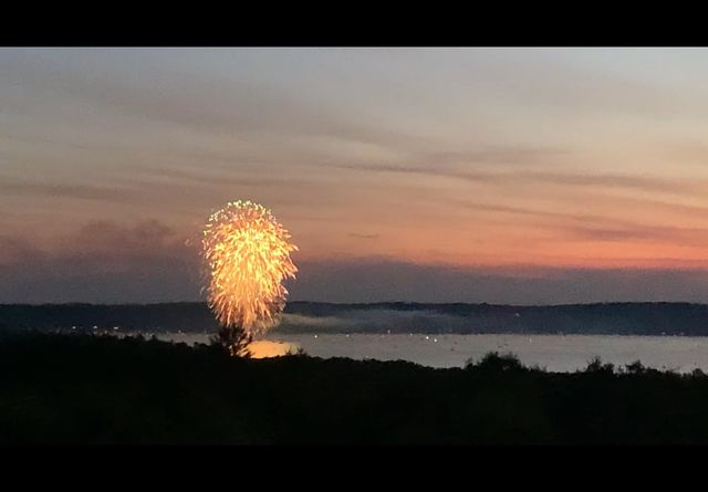 9065 Windigo Trail Lot: 4, Alden, MI 49612