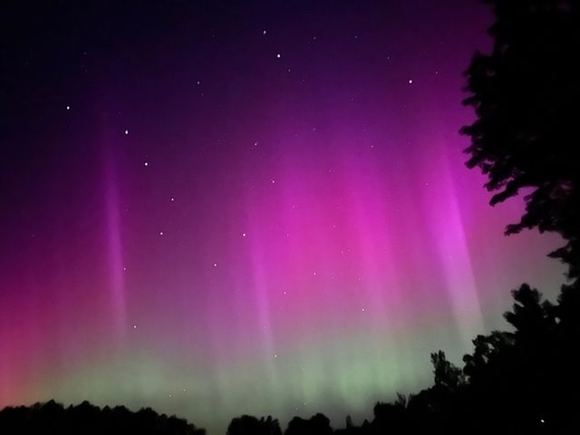 9065 Windigo Trail Lot: 4, Alden, MI 49612