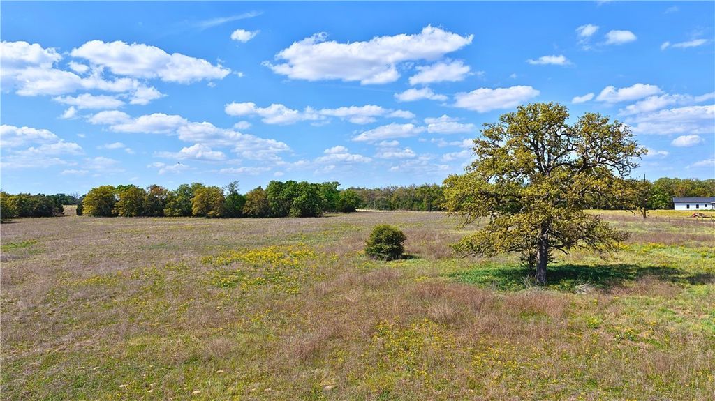 TBD Legacy Road (5.41 Acres), Caldwell, TX 77836 — photo 4