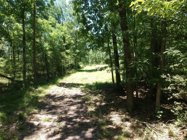 5183 Felix Currie Road, Point Blank, TX 77364