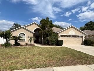 2213 TOWERING OAKS CIRCLE, Seffner, FL 33584