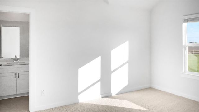 2411 Outpost Canyon Drive, Rosharon, TX 77583