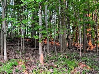 0 Jane St, Jeannette, PA 15644