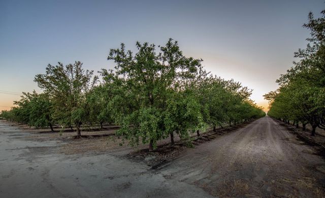 20085 S Hayes Avenue, Riverdale, CA 93656