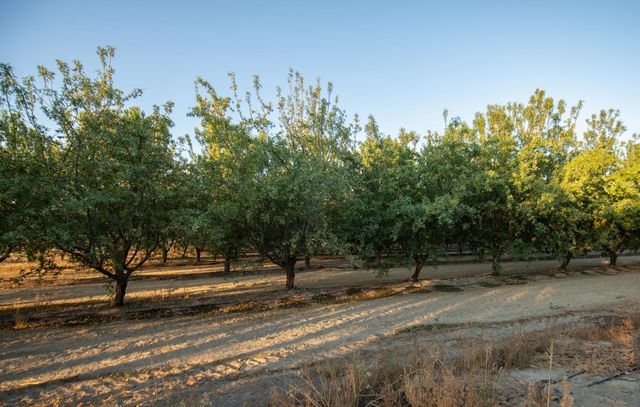 20085 S Hayes Avenue, Riverdale, CA 93656