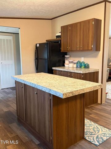 249 Dabeej Drive, Mooresburg, TN 37811