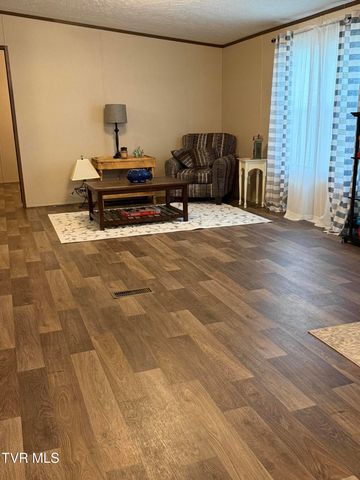 249 Dabeej Drive, Mooresburg, TN 37811