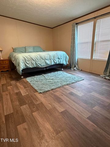 249 Dabeej Drive, Mooresburg, TN 37811