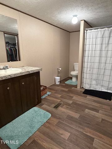 249 Dabeej Drive, Mooresburg, TN 37811